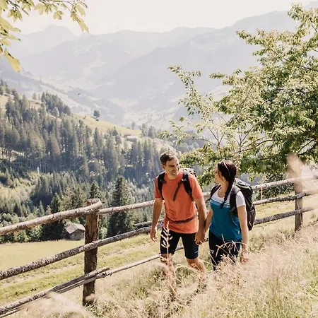 Chalet Chalet Lois - Neu Eröffnet, Für Bis 8 Personen Großarl